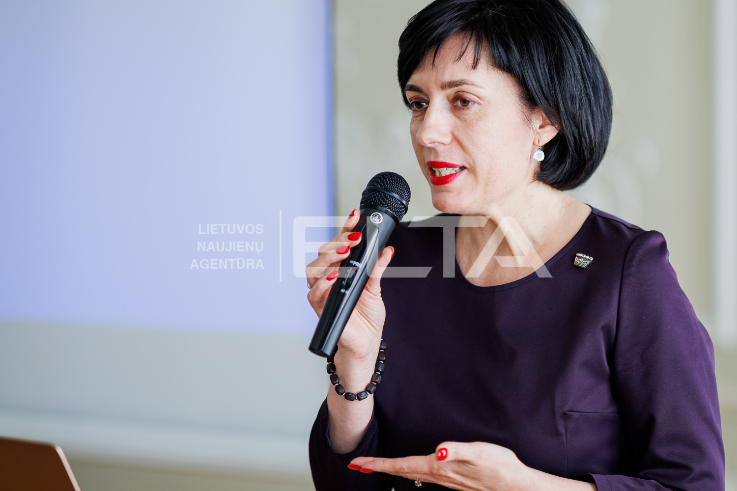 ELTA / Žygimantas Gedvila